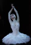Svetlana Zakharova in The Dying Swan 4